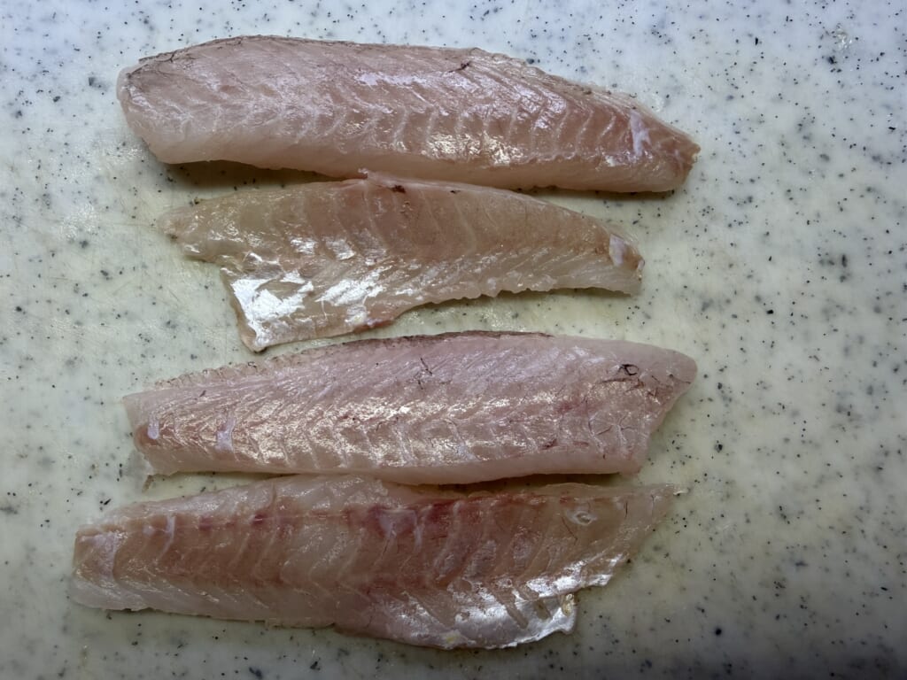 クロメバルと思われる魚の腹側と皮目の様子。脂の乗りと光沢が見られる