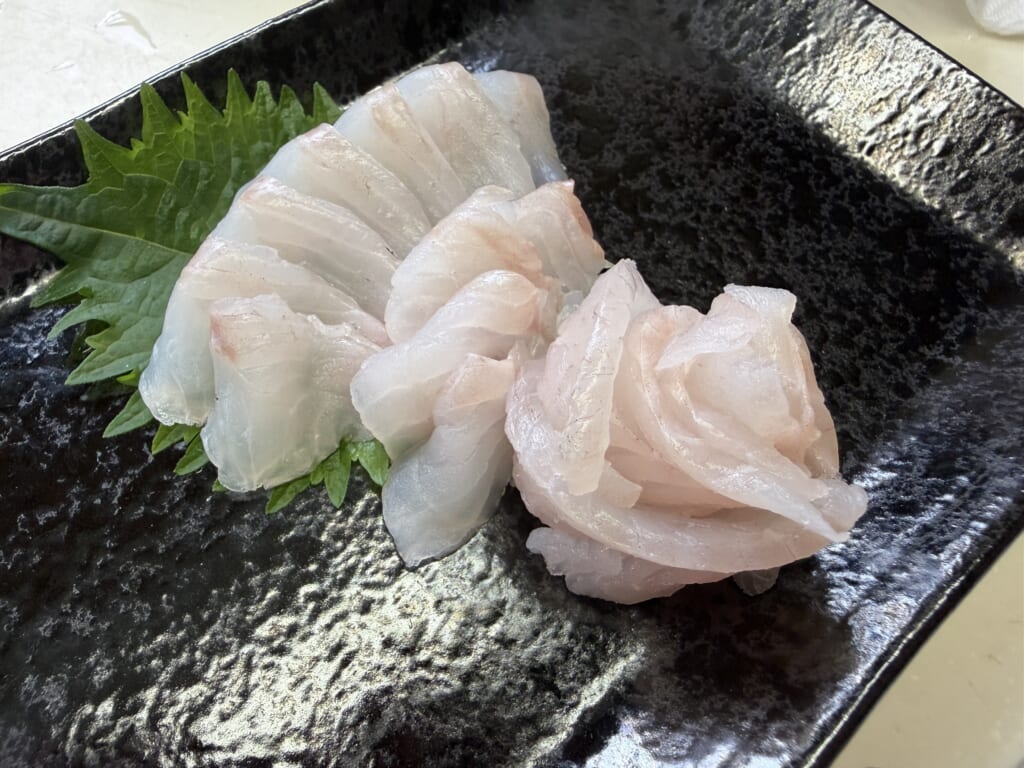 購入当日に捌いて盛り付けた約25cmの天然クロメバルと思われる魚の刺身