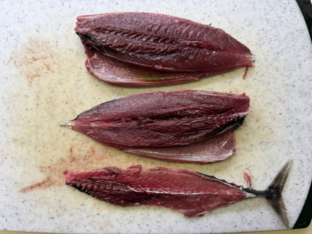 三枚におろしたヒラソウダの赤身と血合いの様子